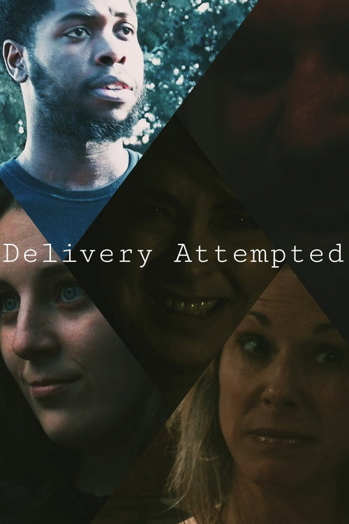 Movie poster for Delivery Attempted (2023)