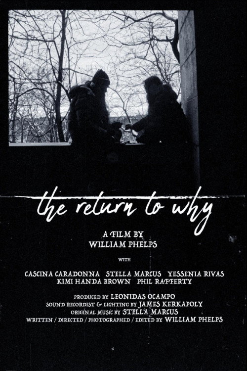 Movie poster for The Return to Why (2024)