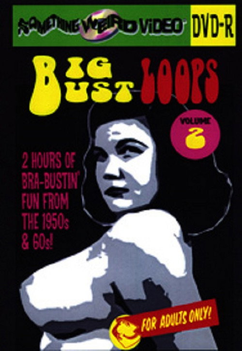 Movie poster for Big Bust Loops Volume 2 (2009)