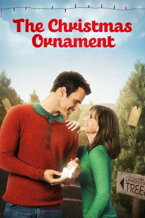 Movie poster for The Christmas Ornament (2013)
