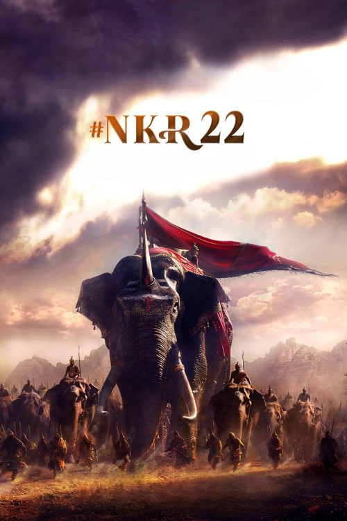 Movie poster for NKR22