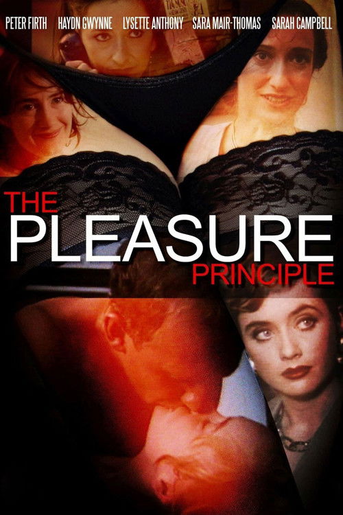 Movie poster for The Pleasure Principle (1992)