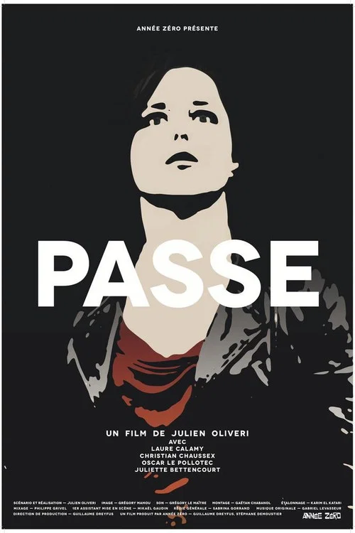 Movie poster for Passe (2013)