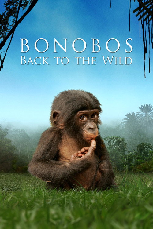 Movie poster for Bonobos: Back to the Wild (2011)