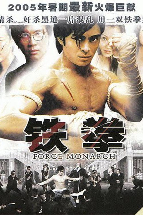 Movie poster for Fighting Back (2003)