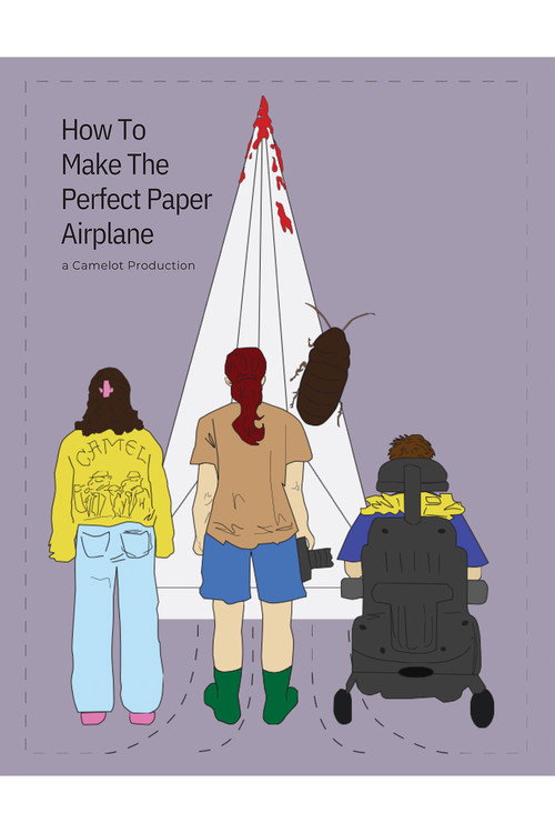 Movie poster for How To Make The *Perfect* Paper Airplane (2025)