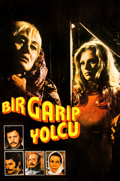 Movie poster for Bir Garip Yolcu (1973)