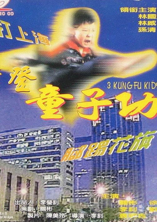 Movie poster for 3 Kung Fu Kids (1996)