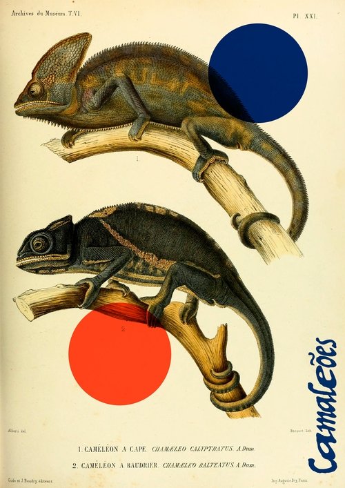 Movie poster for Chameleons (2022)
