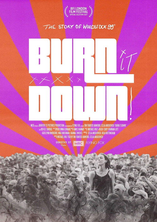 Movie poster for BURN IT DOWN! (2021)