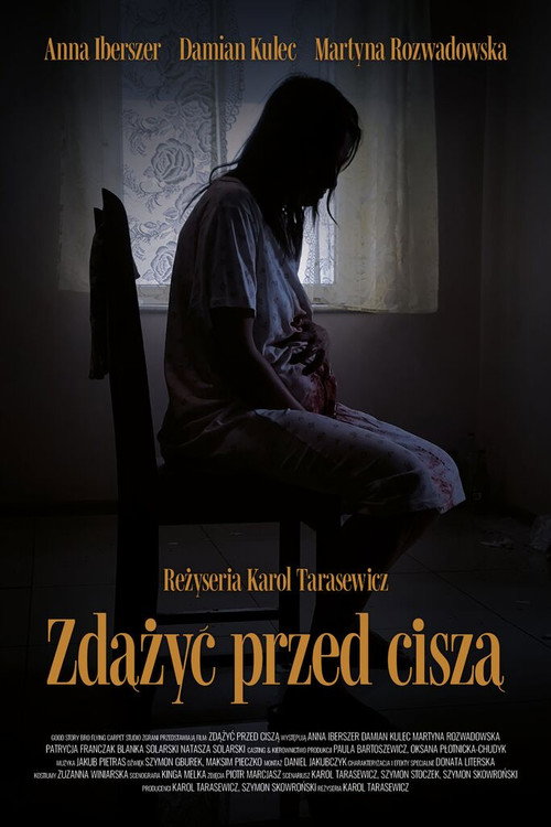 Movie poster for Zdążyć przed ciszą (2024)