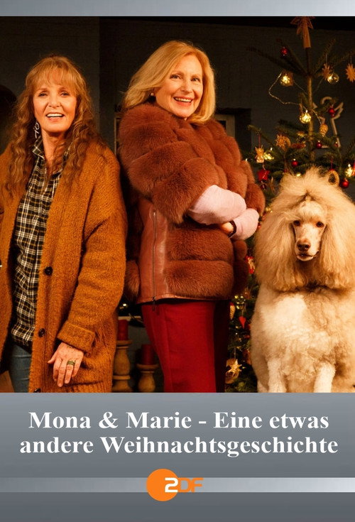 Movie poster for Mona & Marie - Eine etwas andere Weihnachtsgeschichte (2021)
