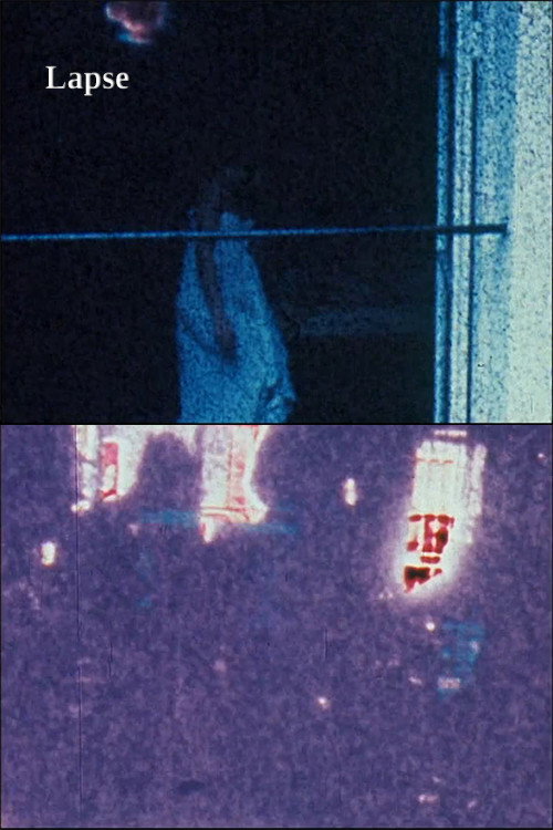 Movie poster for Lapse (1981)