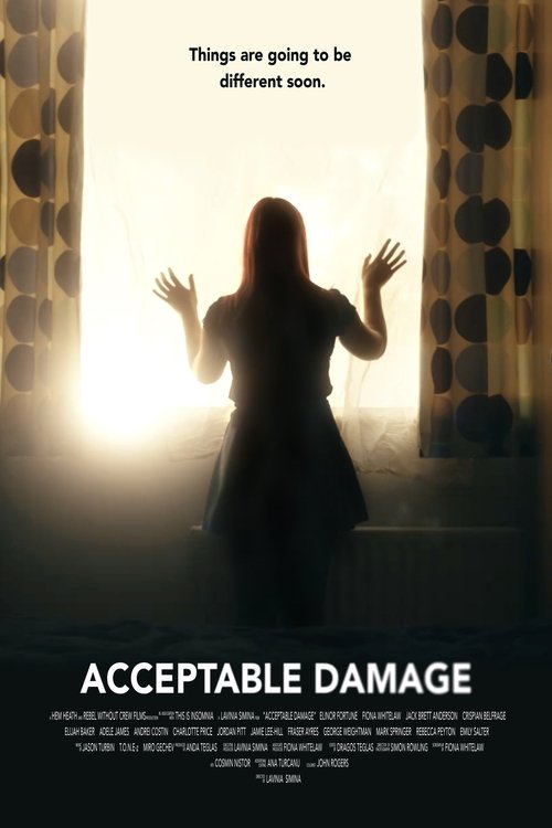Movie poster for Acceptable Damage (2019)