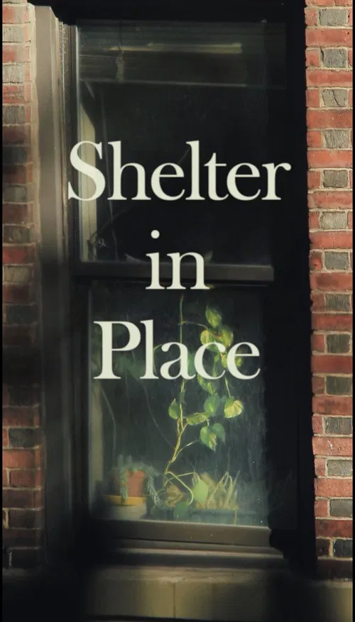 Movie poster for Shelter in Place (2020)