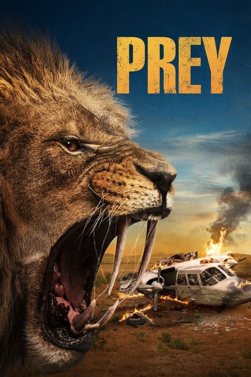 Movie poster for Prey (2024)