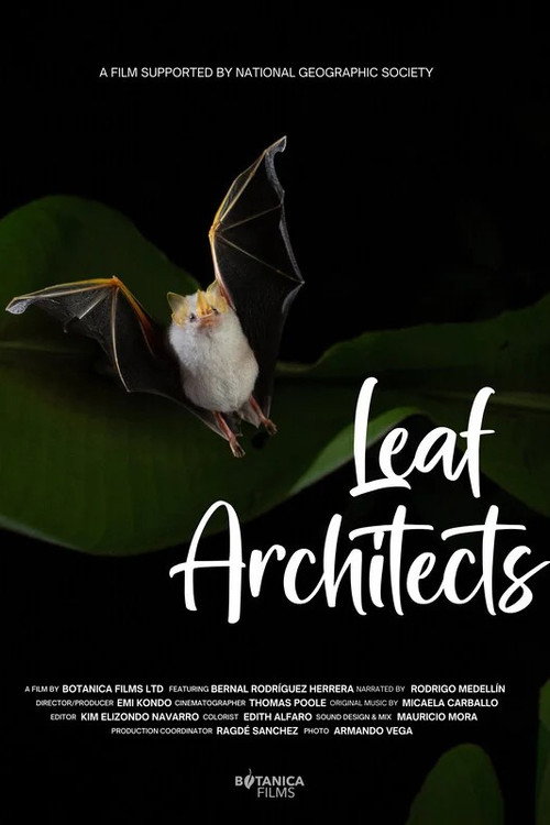 Movie poster for Leaf Architects (2025)