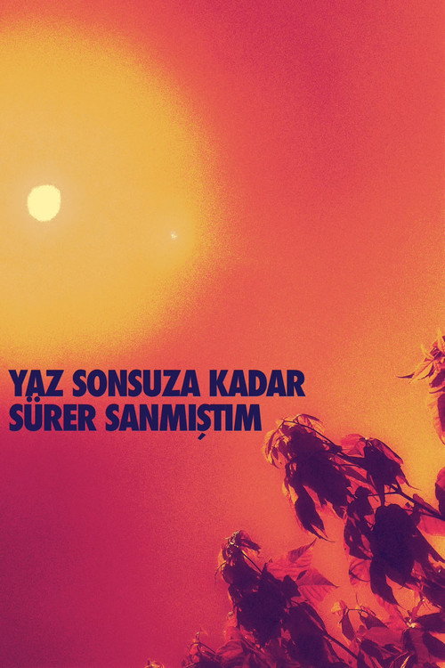 Movie poster for Yaz Sonsuza Kadar Sürer Sanmıştım (2026)
