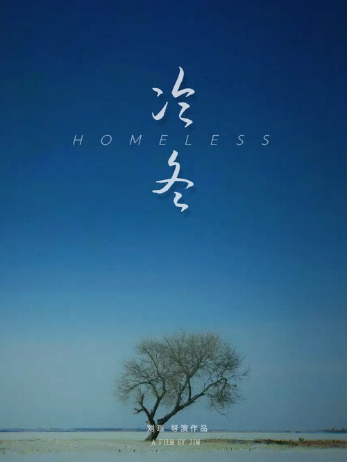 Movie poster for Homeless (2024)