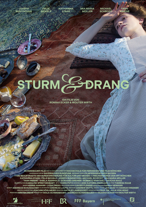 Movie poster for Storm & Stress (2024)
