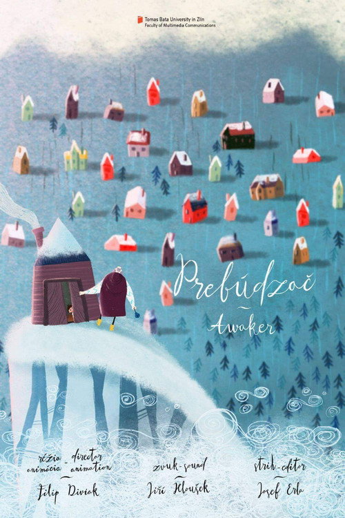 Movie poster for Awaker (2017)