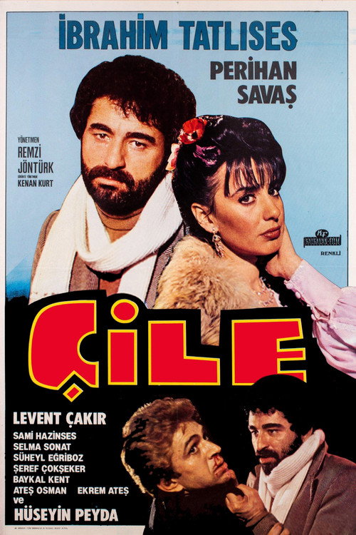 Movie poster for Çile (1980)