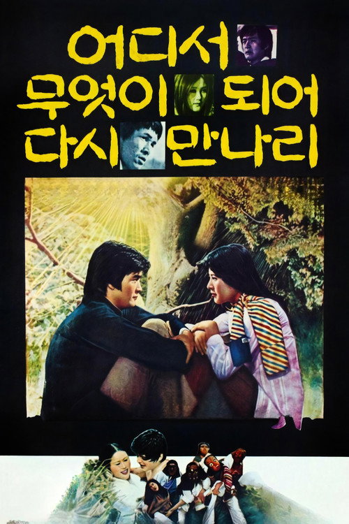 Movie poster for What will we become and where will we meet again? (1977)