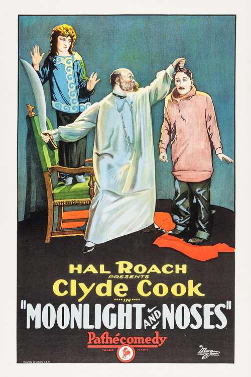 Movie poster for Moonlight and Noses (1925)
