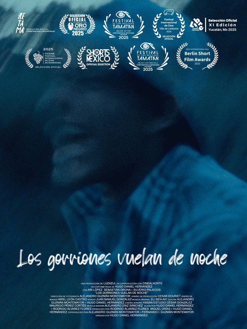 Movie poster for Los gorriones vuelan de noche (2025)