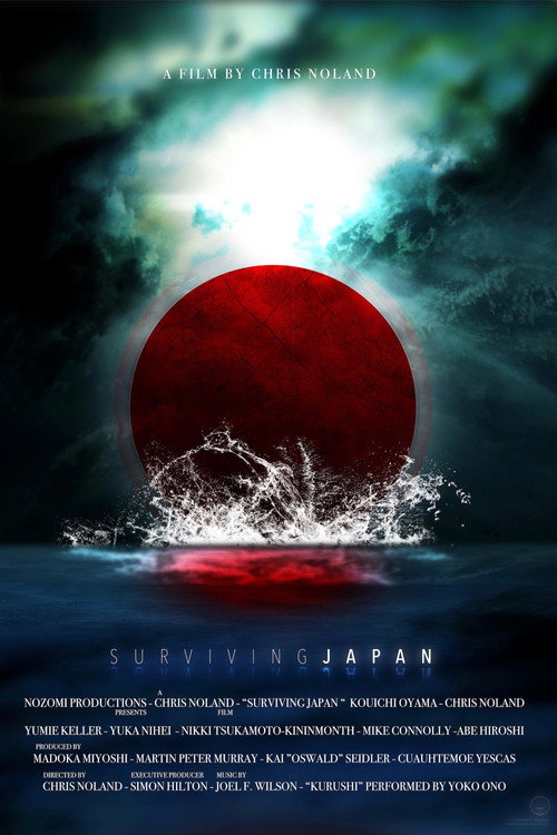 Movie poster for 3.11: Surviving Japan (2013)