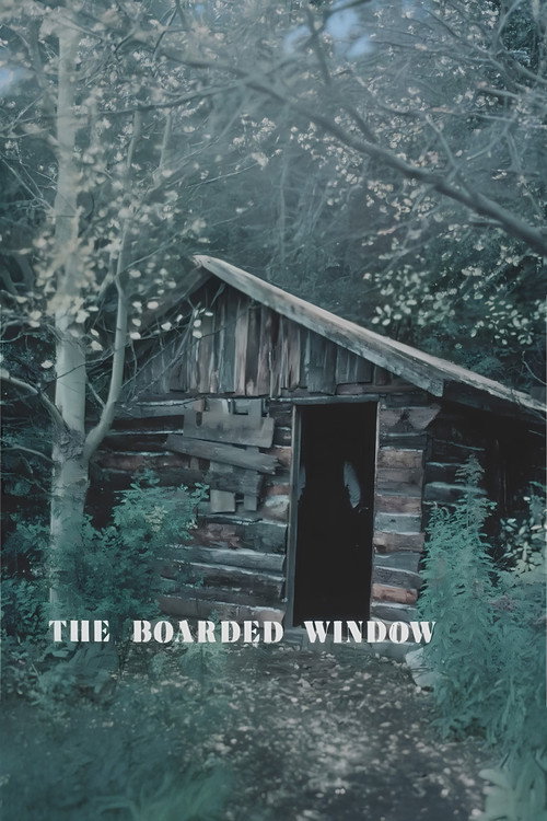 Movie poster for The Boarded Window (1971)