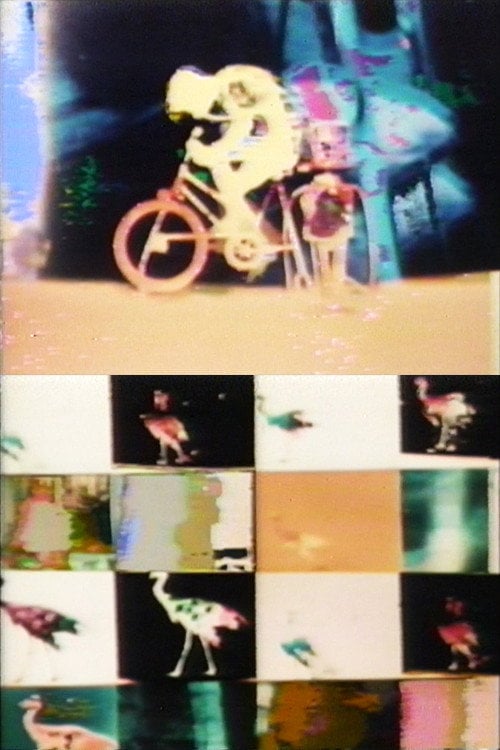 Movie poster for Biological Cycle No. 3 (1971)