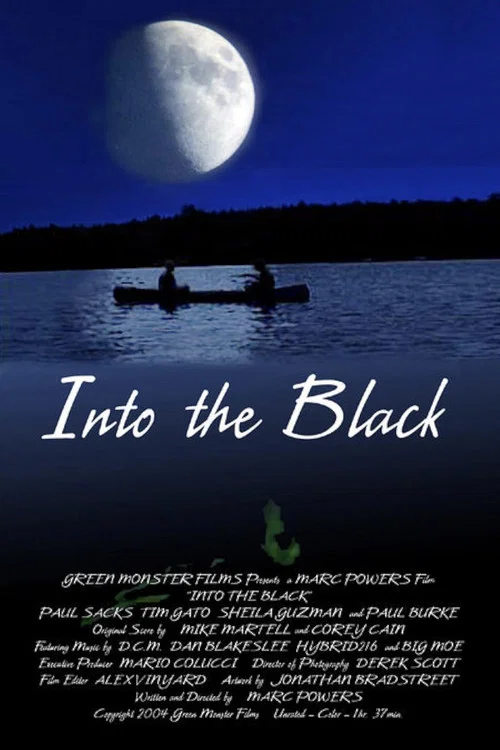 Movie poster for Into the Black (2004)
