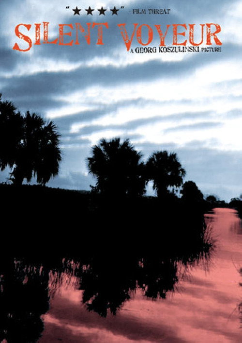 Movie poster for Silent Voyeur (2004)