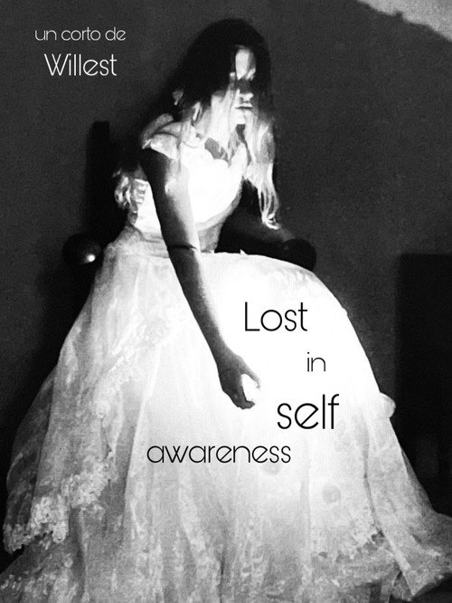 Movie poster for Lost in self awareness (2024)