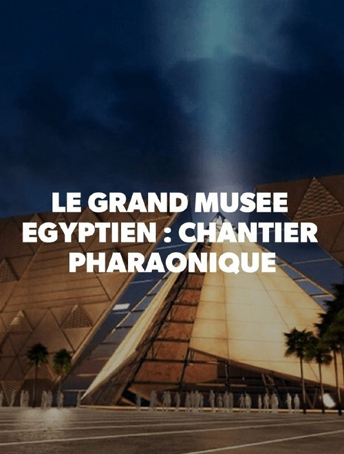 Movie poster for Egypt: Exploring The Largest Museum (2020)