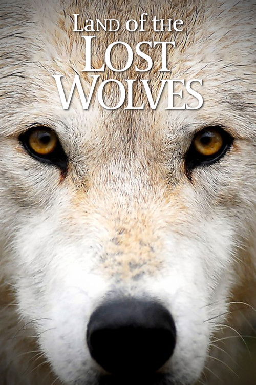 Series poster for Land of the Lost Wolves (2012)