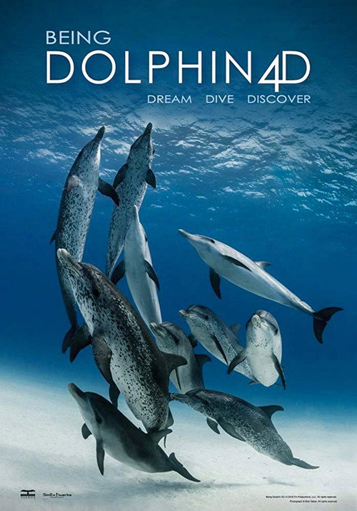 Movie poster for Being Dolphin 4D (2018)