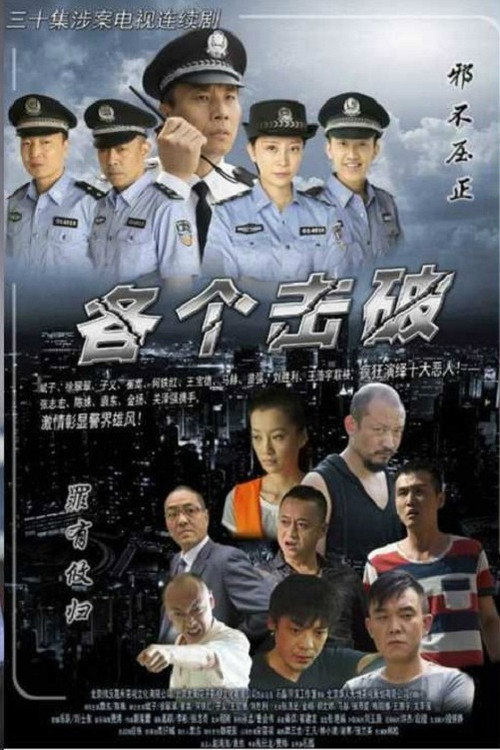 Series poster for 各个击破 (2014)
