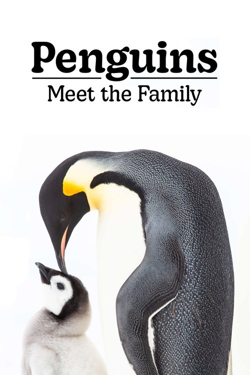 Movie poster for Penguins: Meet the Family (2020)