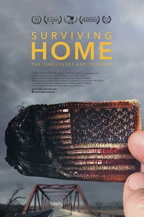 Movie poster for Surviving Home (2017)