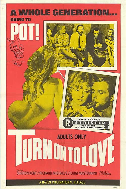 Movie poster for Turn On to Love (1969)