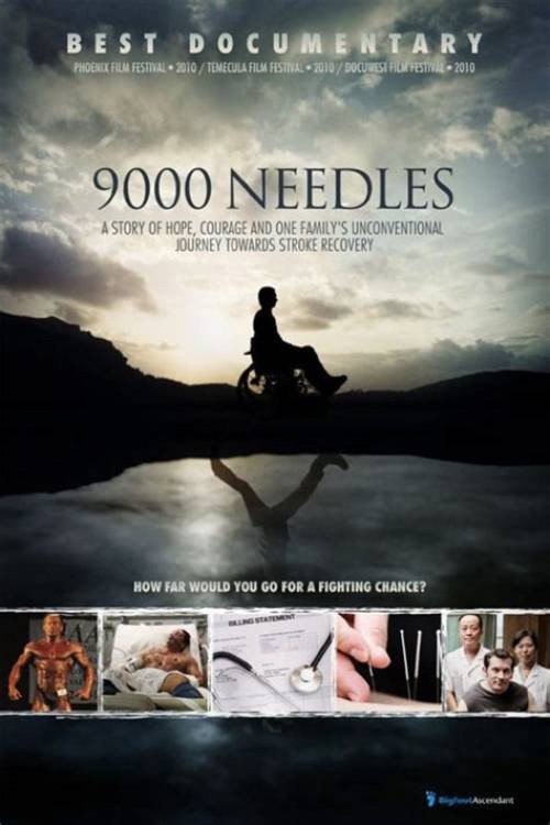 Movie poster for 9000 Needles (2009)