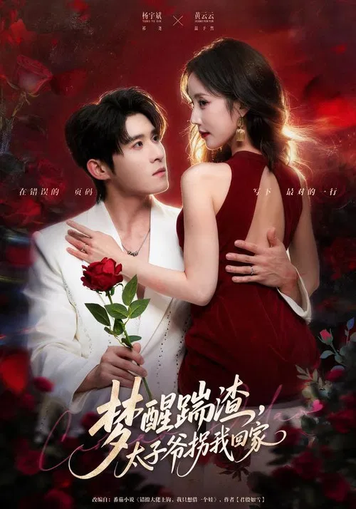 梦醒踹渣，太子爷拐我回家 poster