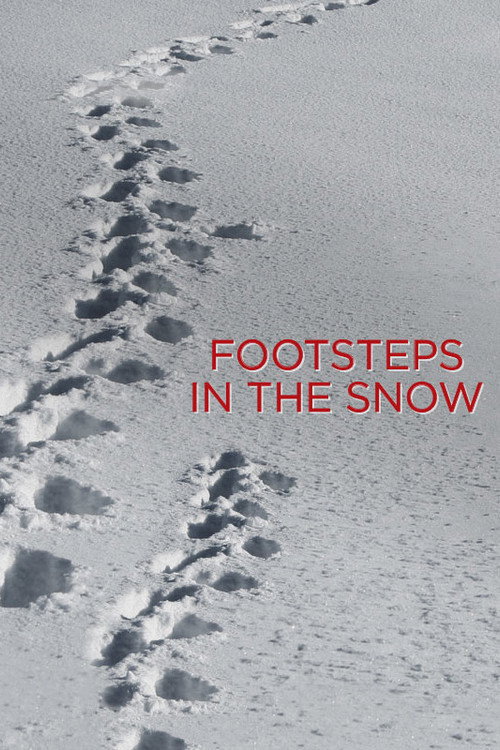 Movie poster for Footsteps in the Snow (2014)