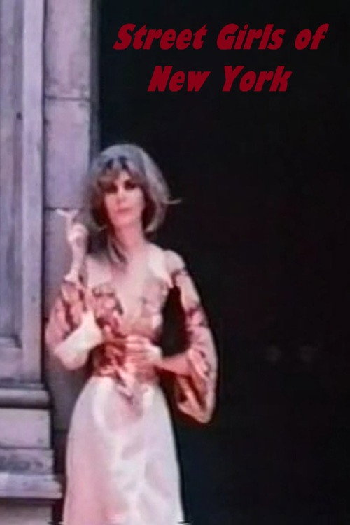 Movie poster for Street Girls of New York (1976)