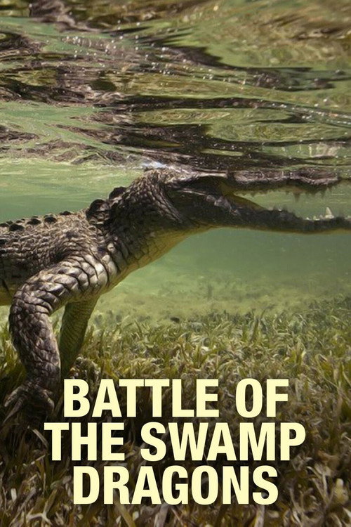Movie poster for Battle of the Swamp Dragons (2017)