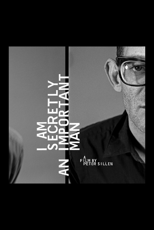 Movie poster for I Am Secretly An Important Man (2010)