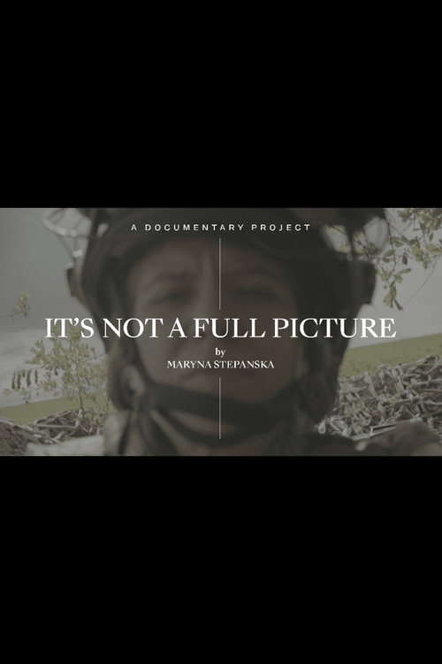 Movie poster for It’s Not A Full Picture