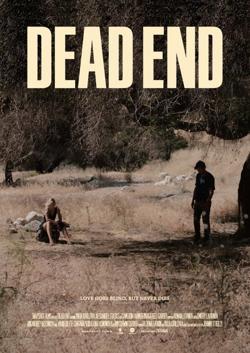 Movie poster for Dead Wood (2018)